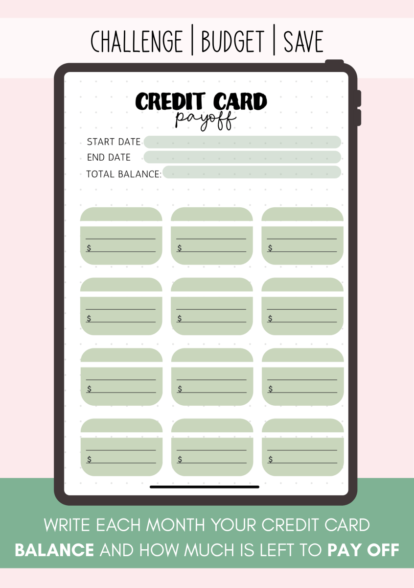 Credit card payoff tracker page to manage debt and monitor payments